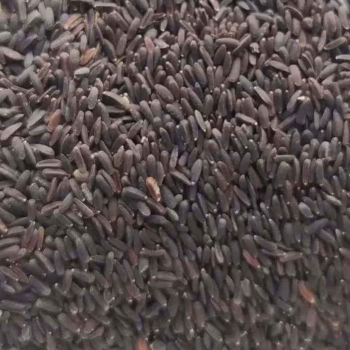 گیاه بالنگو 30 گرم