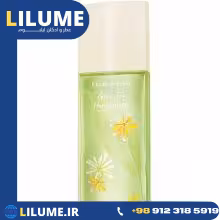 عطر ادکلن الیزابت آردن گرین تی هانیساکل 100 میل زنانه