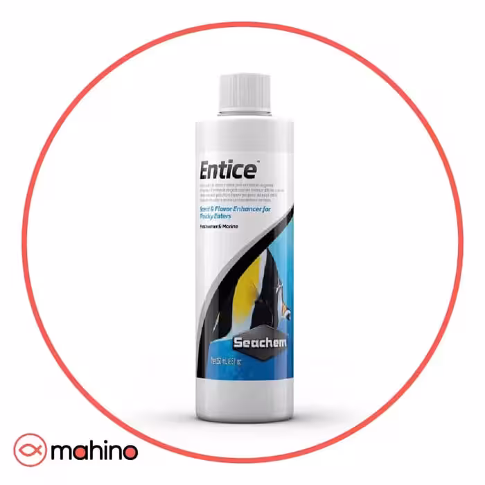 محلول تقویتی و اشتها آور اینتایس سیچم Entice Seachem