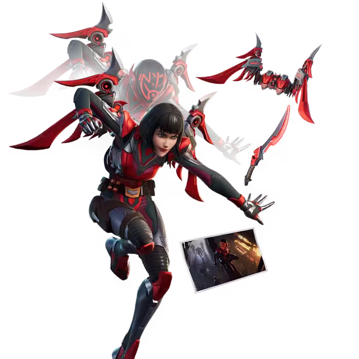 THE ORDER BUNDLE