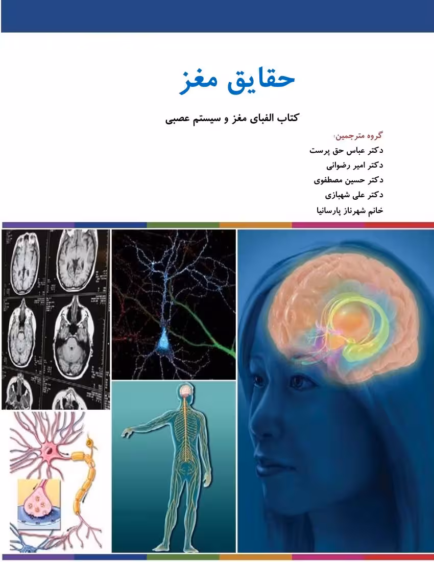 حقایق مغز – انجمن علوم عصاب