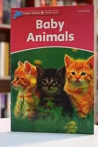 Dolphin Readers Starter Level Baby Animals