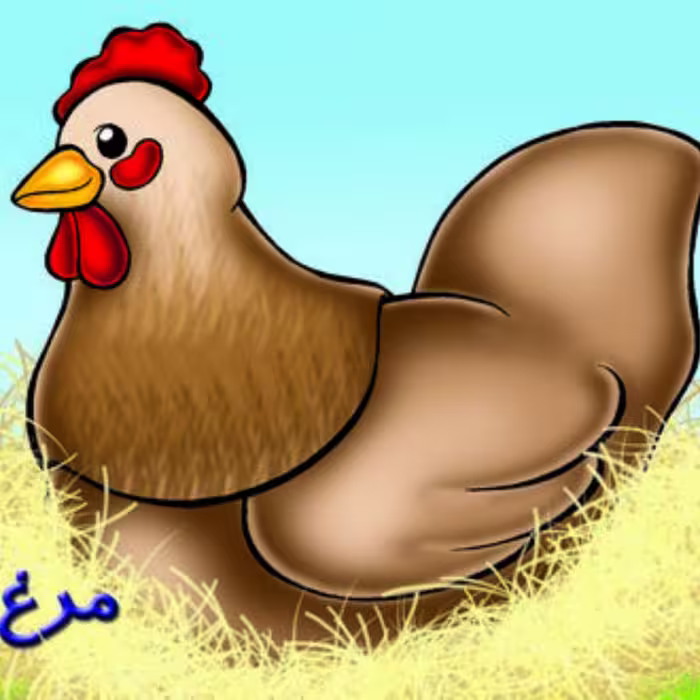 مرغ (حیوانات مزرعه)