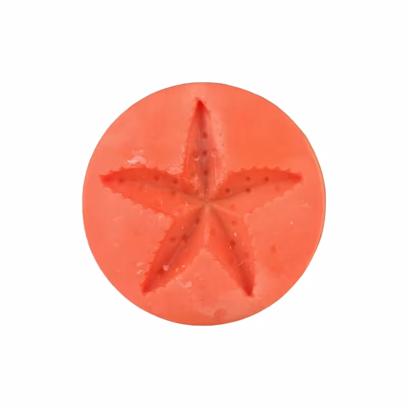 قالب ستاره دریایی قطر 9سانت