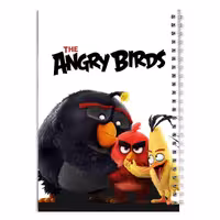 دفتر مشق کارتون پرندگان خشمگین