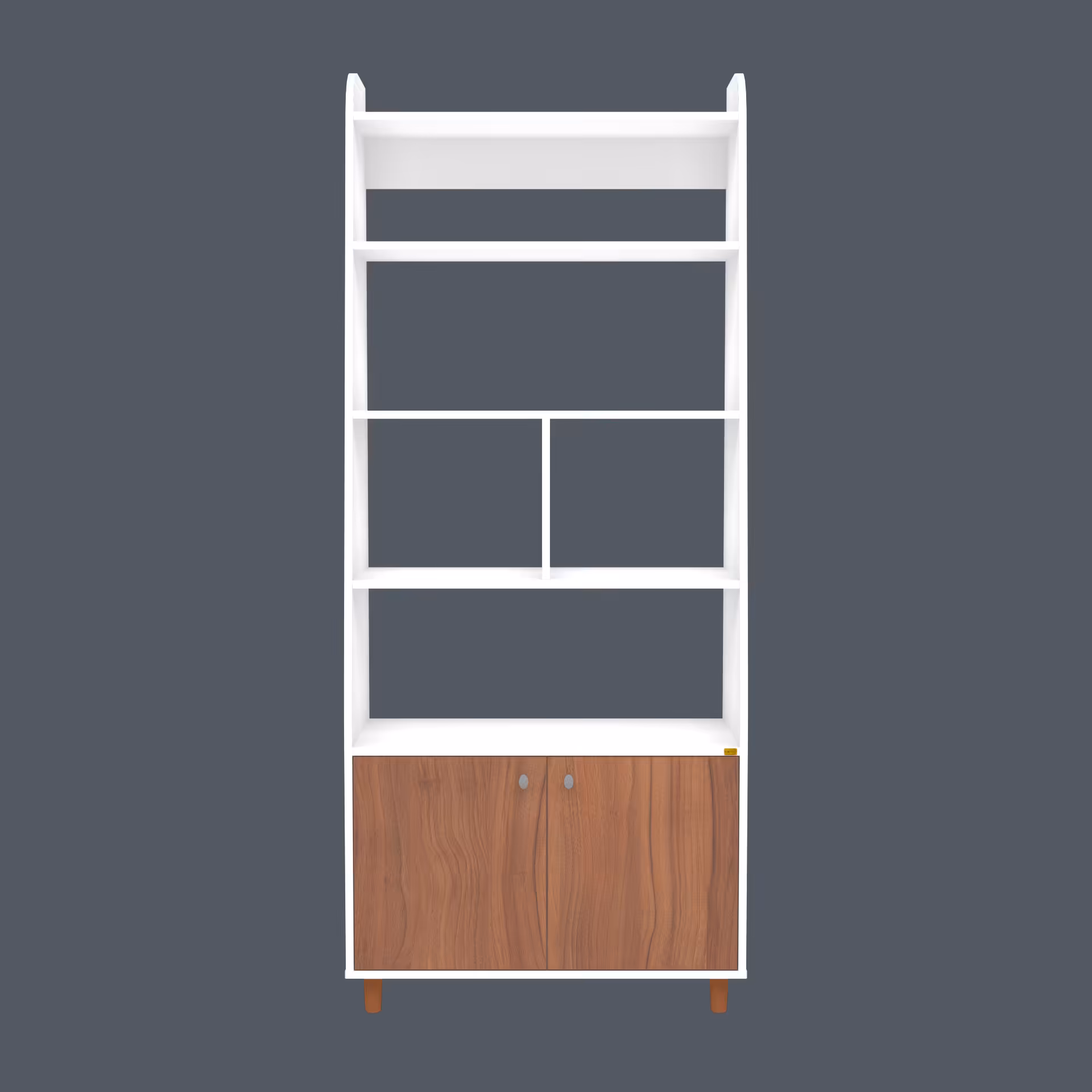 کتابخانه مدل BC1