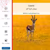 برچسب پوششی ماهوت مدل Gazelle-FullSkin مناسب برای گوشی موبایل آنر 8