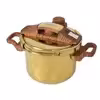 زودپز دوقلو تفال مدل Gold01