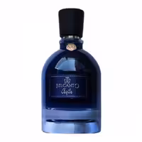 ادو پرفیوم مردانه بلکانتو مدل آجل AGILE حجم 100 میلی لیتر | Belcanto Eau de Parfum for Men AGILE 100 mL