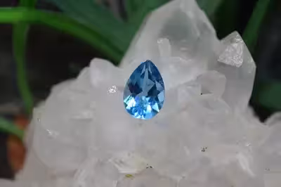 بلوتوپاز سوئیس