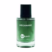 عطر جیبی مردانه بایلندو مدل Megamare حجم 35 میلی لیتر