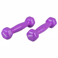 دمبل ایروبیک 0.5 کیلوگرمی بسته دو عددی | کالا مکس