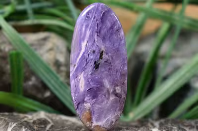 چاروئیت