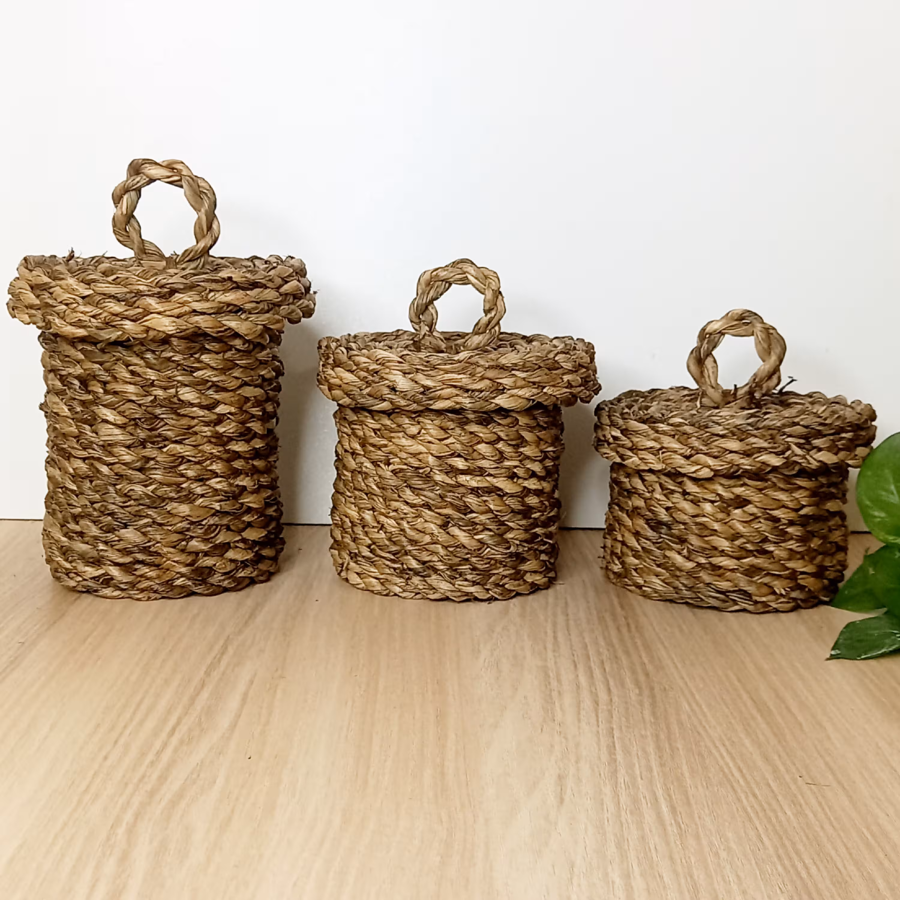 بانکه حصیری قهوه ای