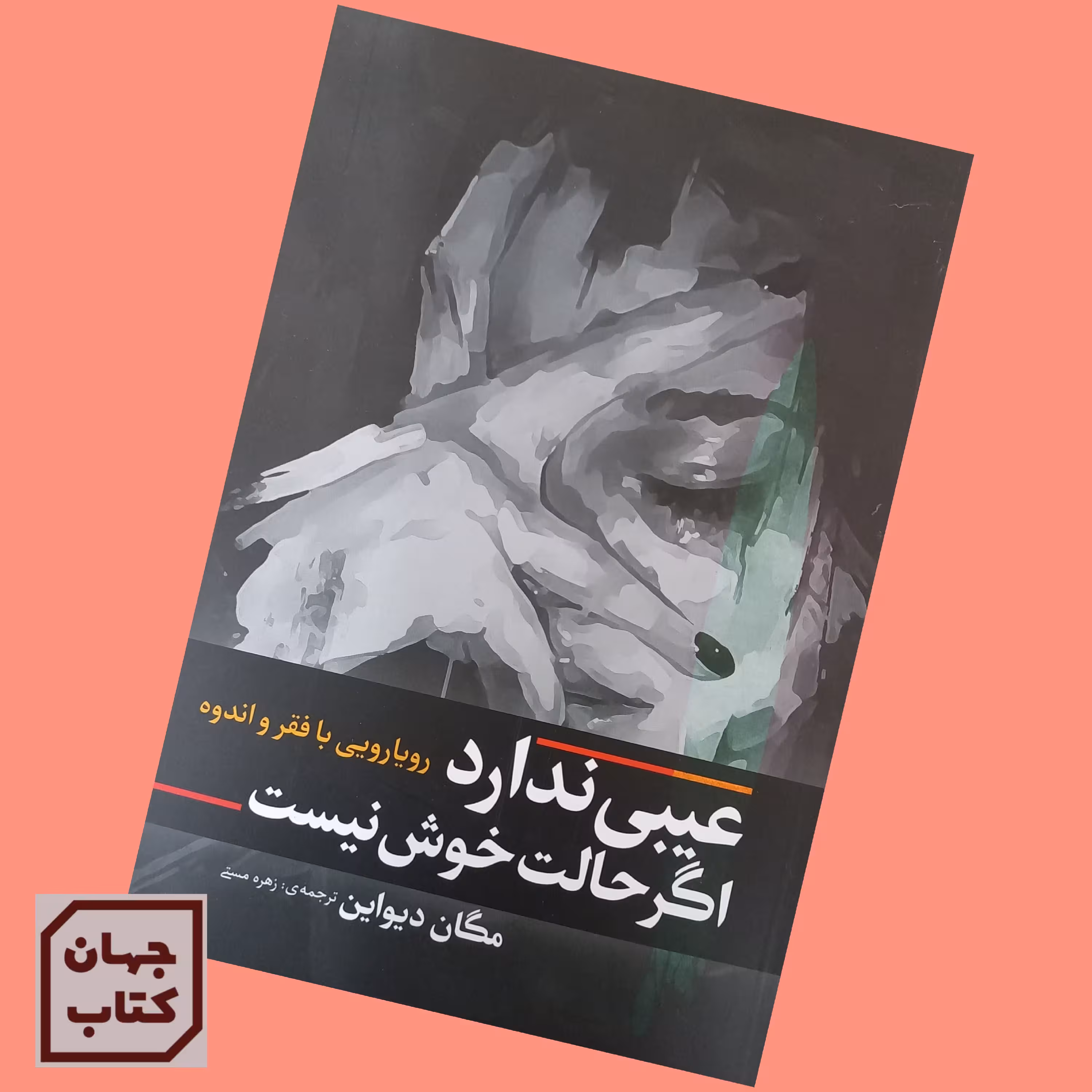کتاب عیبی ندارد اگر حالت خوش نیست اثر مگان دیواین