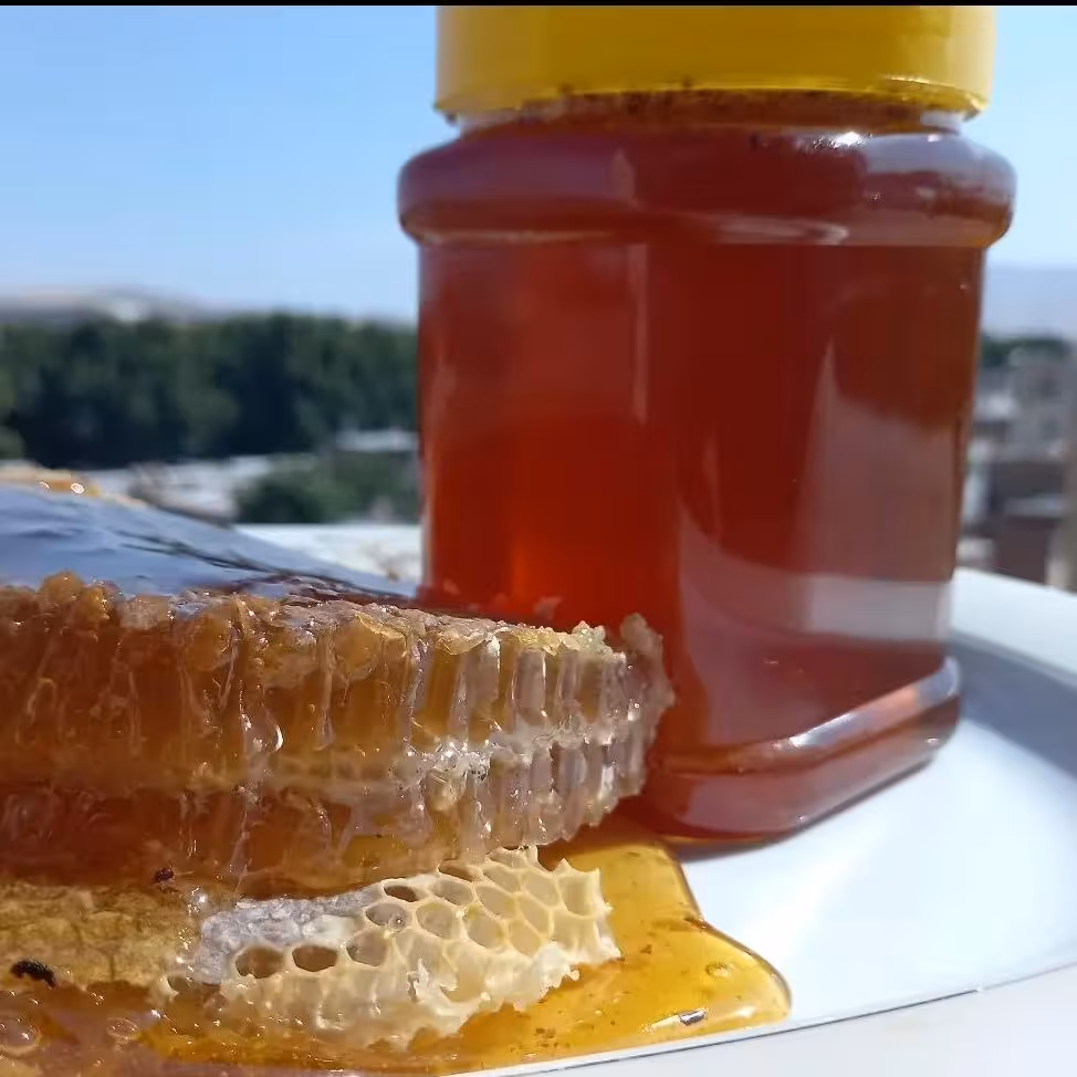 عسل چهل گیاه بدون موم معمولی 1 کیلویی کردستان (مستقیم از زنبوردار)