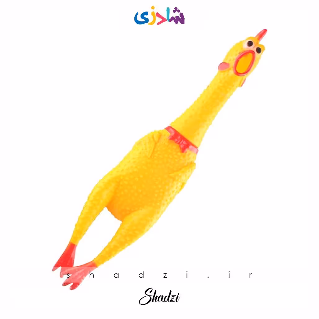 مرغ صدا دار