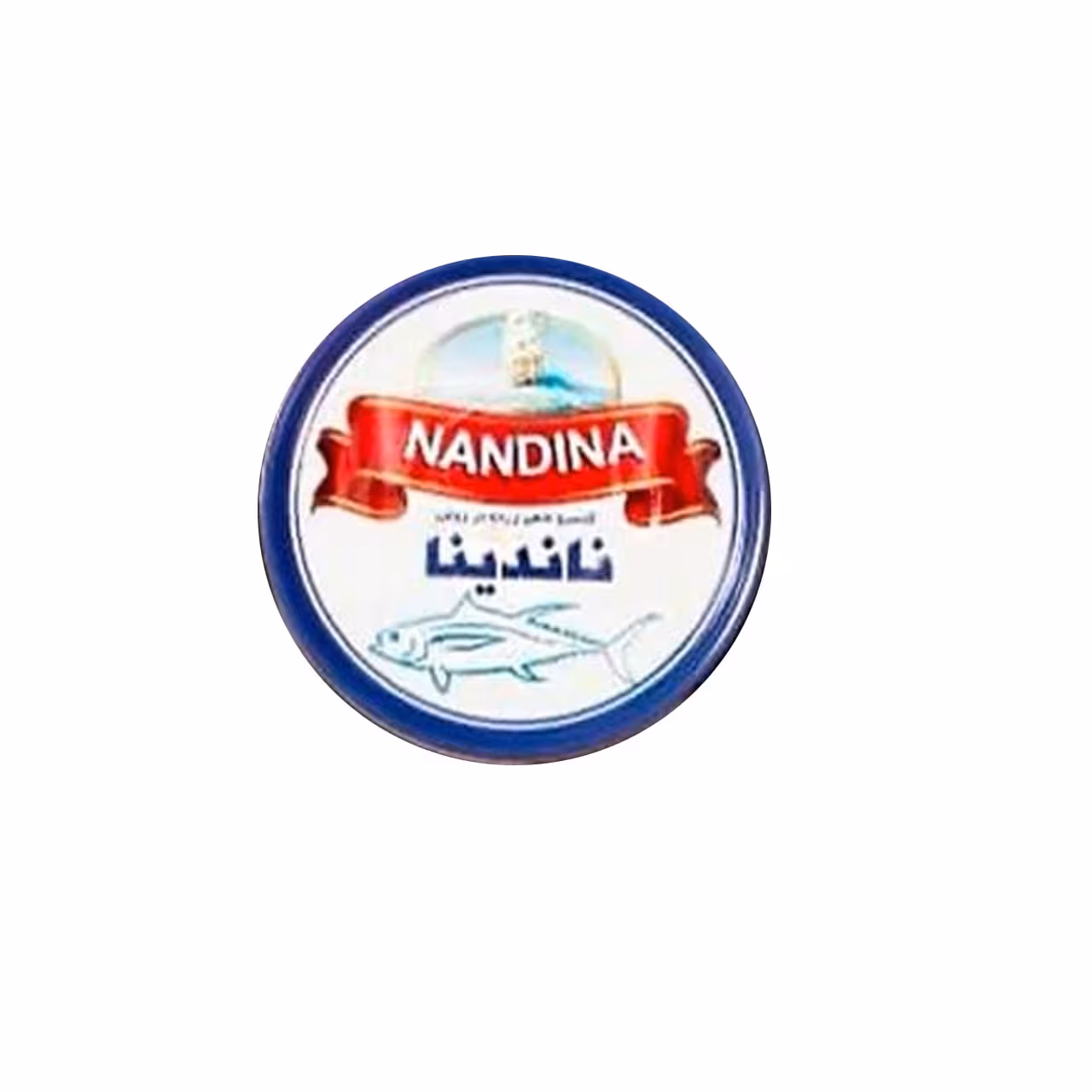 کنسرو ماهی مارلین ناندینا چابهار 180 گرمی