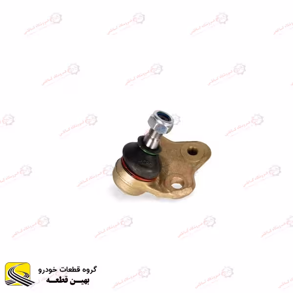 سیبک طبق فیدلیتی