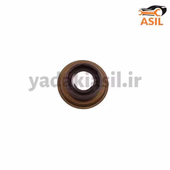 کاسه نمد تعویض دنده 405 ویژن ژاپنی