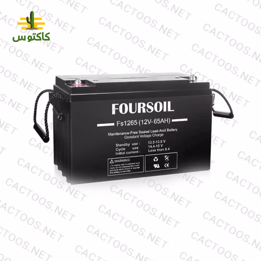باتری یو پی اس foursoile12-65A