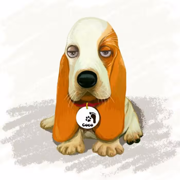 آویز قلاده استیل طرح دایره و پنجه با متن کد CD-R-51