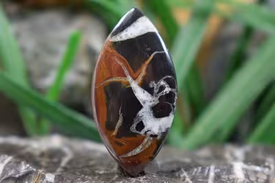 سپتارین مراکش اصل و طبیعی