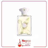 عطر آمواج براکن مردانه Amouage Bracken Man