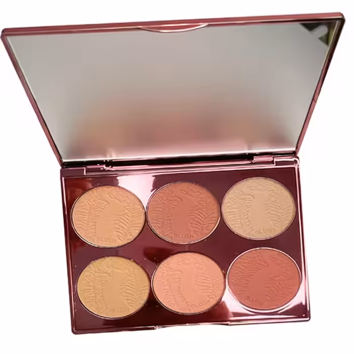 پالت رژگونه کلارنس مدل Precious Gems شماره 2