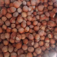 فندق دهن بست خام ( 500 گرم)