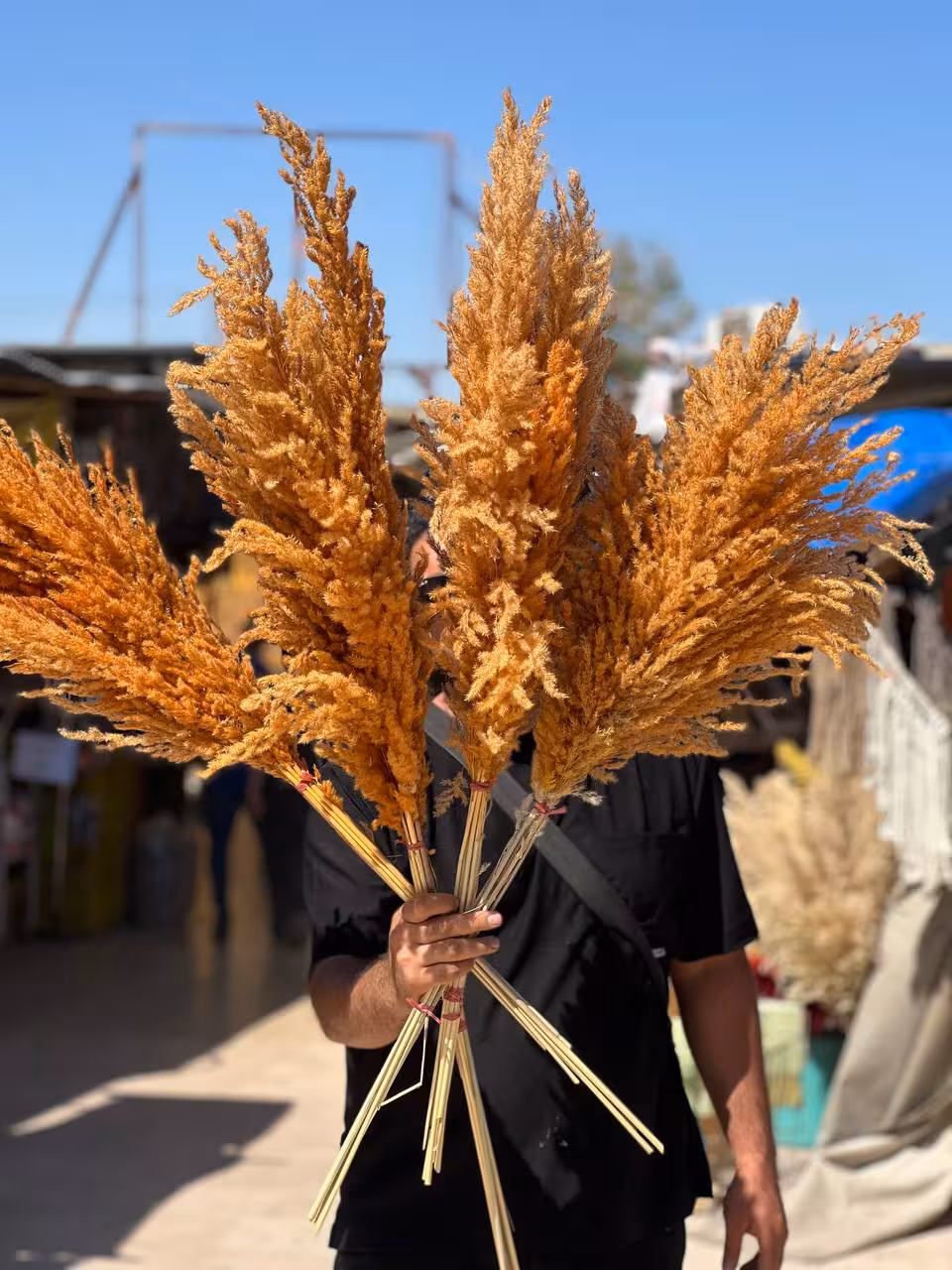 گل خشک پامپاس 10 عددی رنگ نارنجی