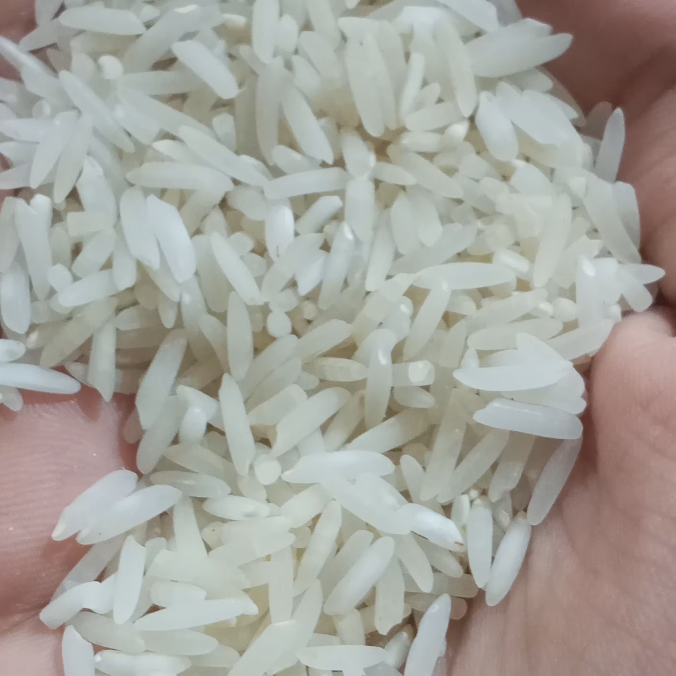 برنج طارم هاشمی 10کیلویی مازندران