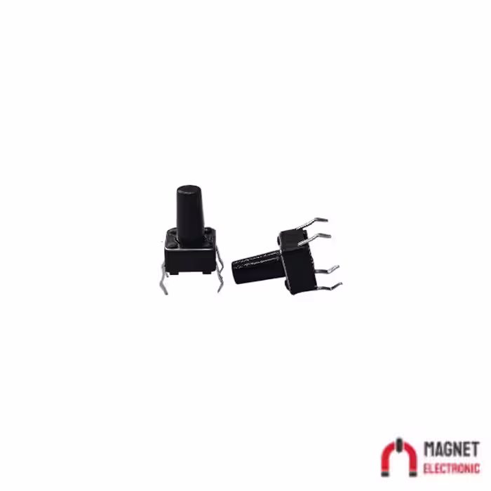 تک سوئیچ دو پین 10*6*6