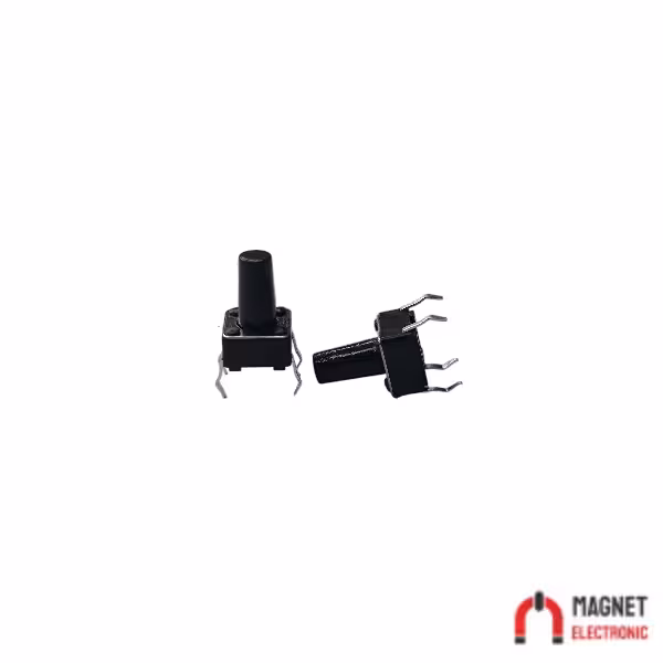 تک سوئیچ دو پین 10*6*6