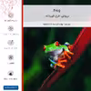 برچسب پوششی ماهوت مدل Frog مناسب برای گوشی موبایل سامسونگ Galaxy S10 Plus