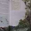 كتاب Bird Habitats and Conservation اثر David Chandler انتشارات Hamlyn
