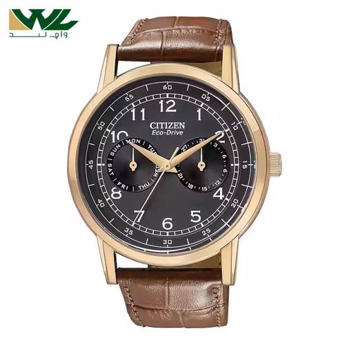 ساعت سیتیزن AO9003-08E