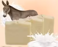 صابون شیر الاغ   (70گرمی )