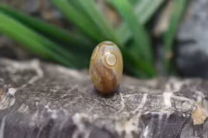 عقیق باباقوری