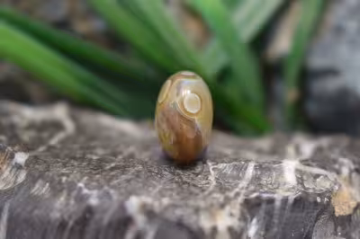 عقیق باباقوری