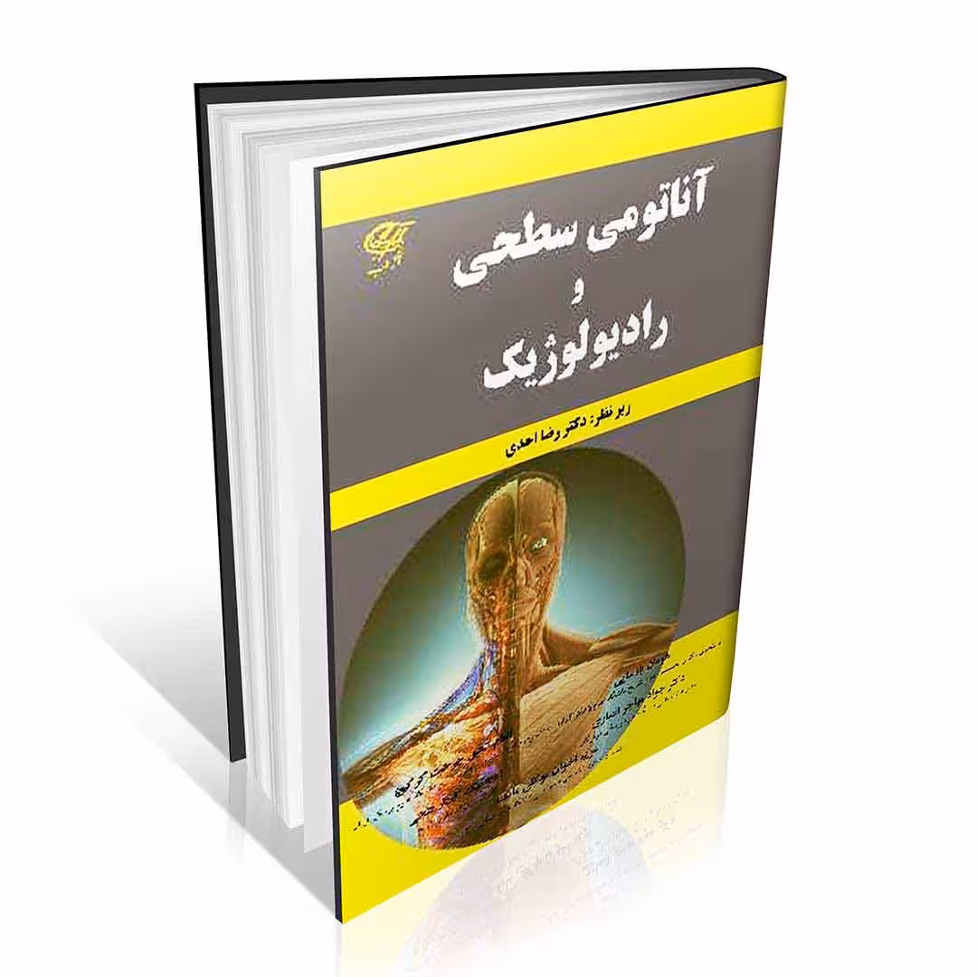 آناتومی سطحی و رادیولوژیک