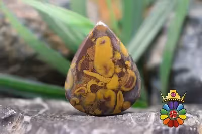 فوروت جاسپر  (جاسپر میوه ای)