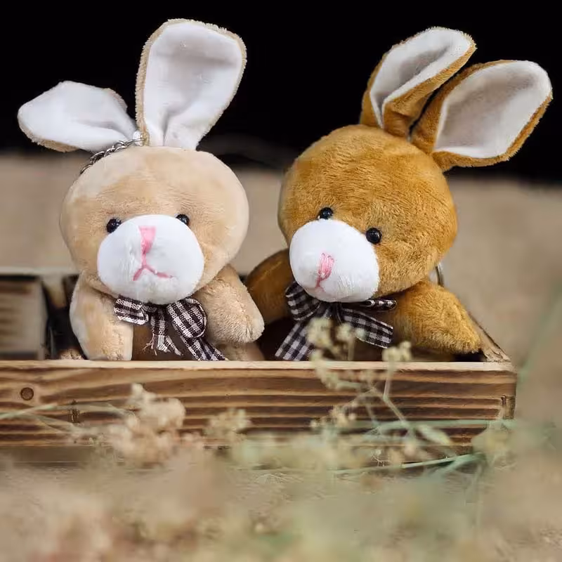 عروسک خرگوش مزرعه در کرمان