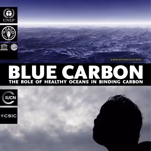 خرید و دانلود نسخه کامل کتاب Blue Carbon. A Rapid Response Assessment