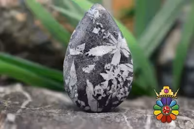 کرایسان تیموم ( سنگ گل داودی)