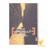 کتاب شکری، پسر یعقوب اثر سیامک ایثاری، نشر برج