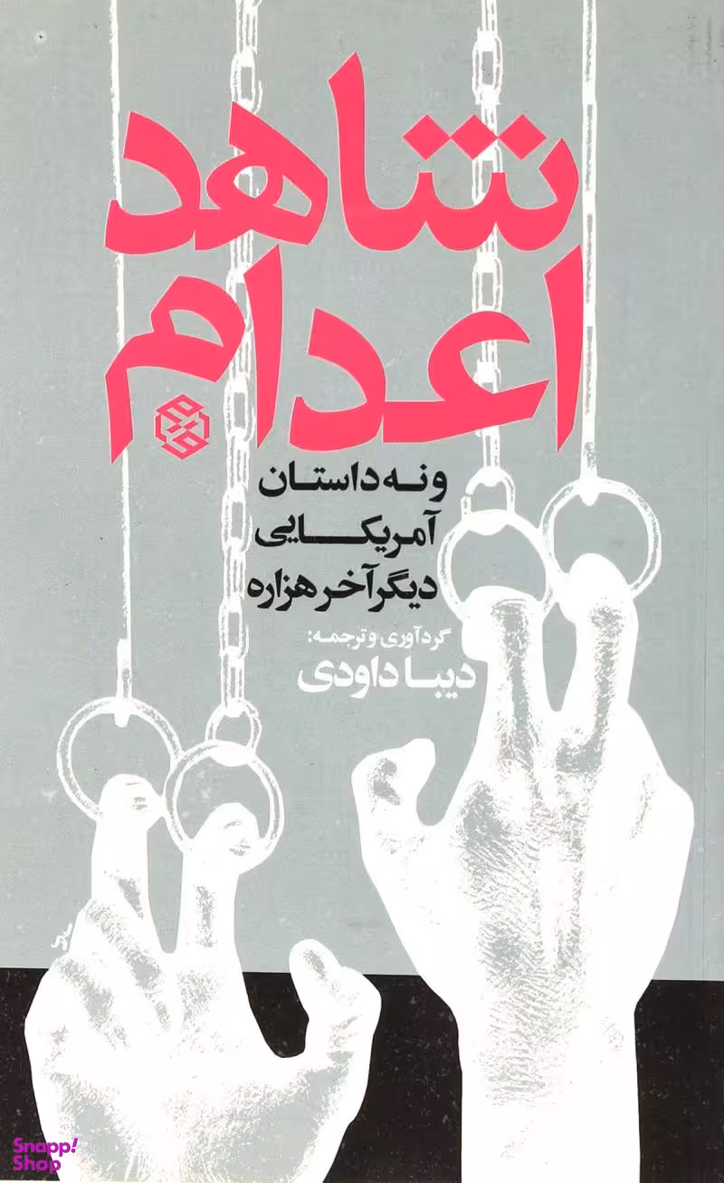 کتاب شاهد اعدام و نه داستان آمریکایی دیگر آخر هزاره اثر دیبا داوودی انتشارات روزنه