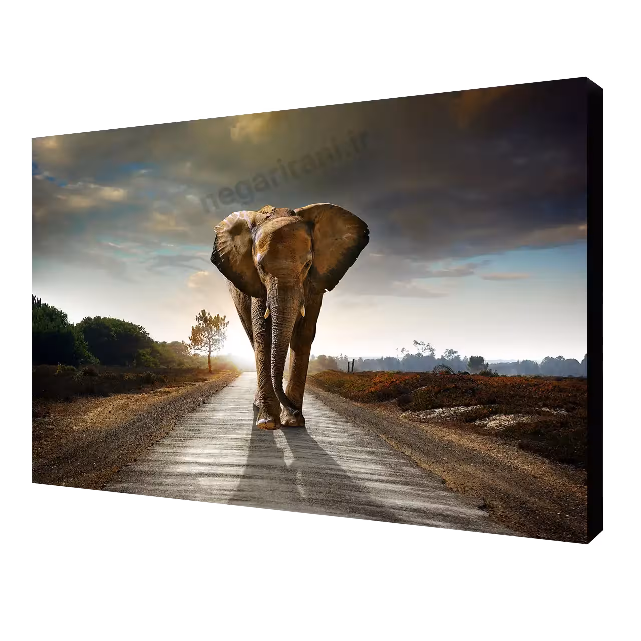 تابلو شاسی فیل  طرح W 28