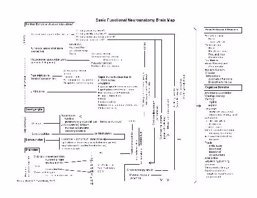 خرید و دانلود نسخه کامل کتاب Brain Map Main