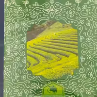 چای سبز امیر اعلم پک اصلی 5040